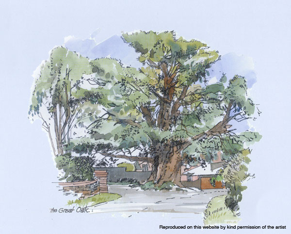The Great Oak