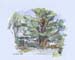 The Great Oak