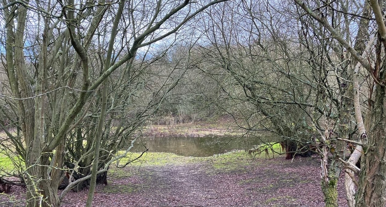 Dew pond